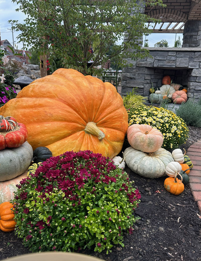 Hippley gallery fall decor photo 1