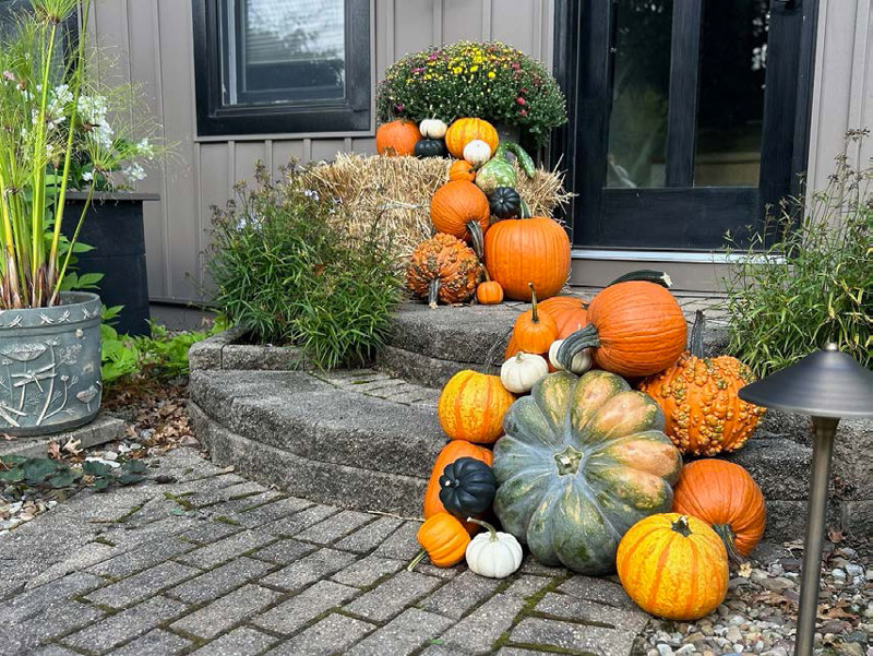 Hippley gallery fall decor photo 4