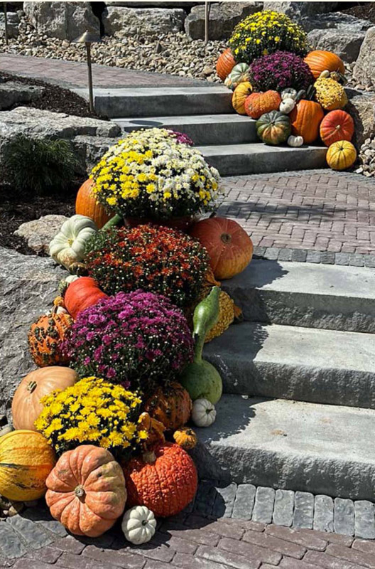 Hippley gallery fall decor photo 5