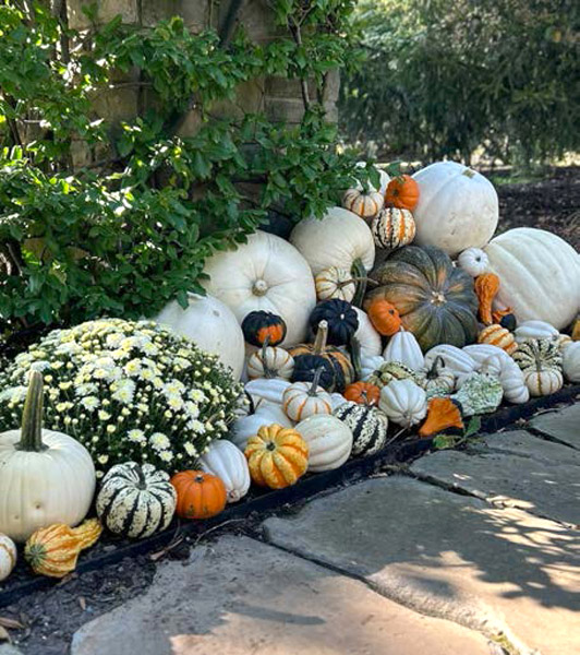Hippley gallery fall decor photo 6