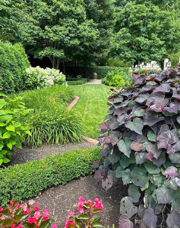 Hippley gallery plantings