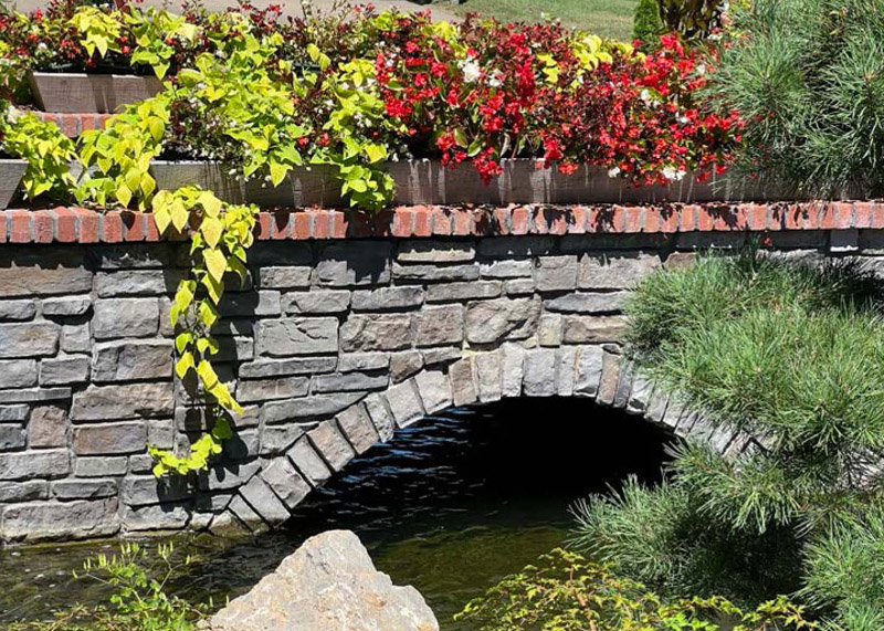 Hippley gallery plantings
