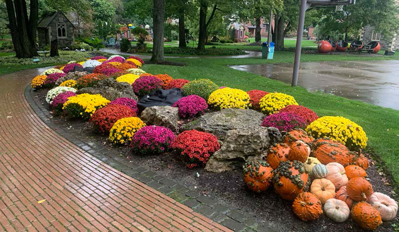 Hippley gallery plantings