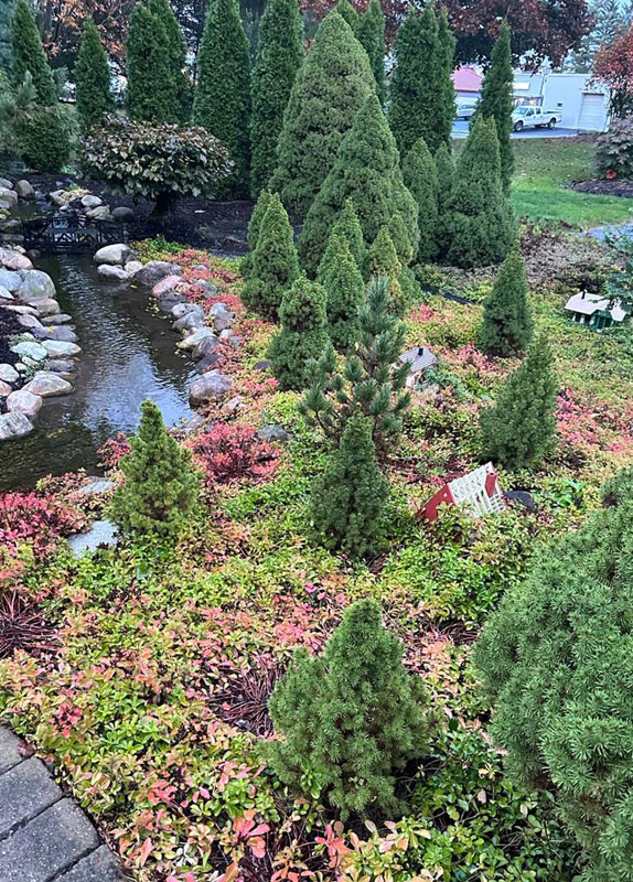 Hippley gallery plantings
