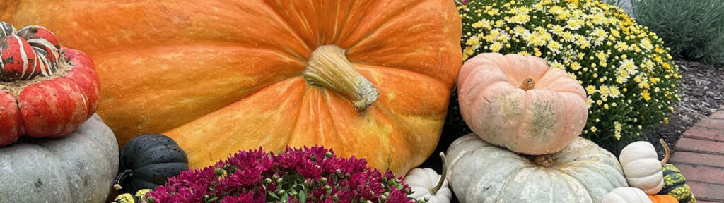 Fall Decor